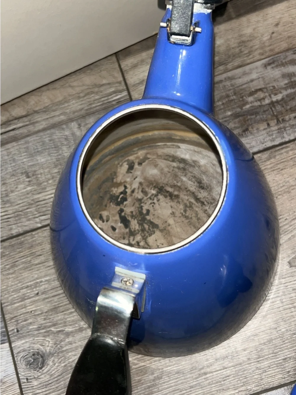 Le Creuset enamel whistling